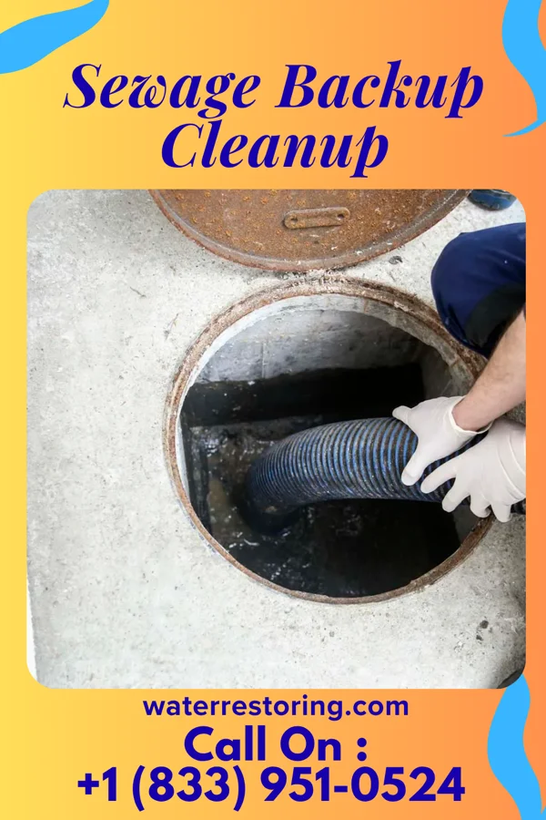 Sewage Backup Cleanup in Baldwinsville, NY