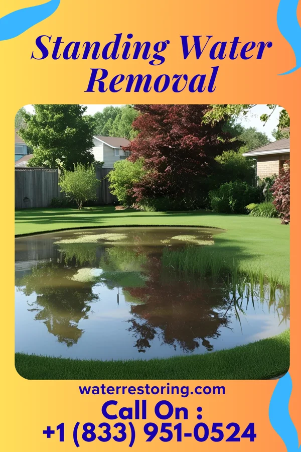 Standing Water Removal in Baldwinsville, NY